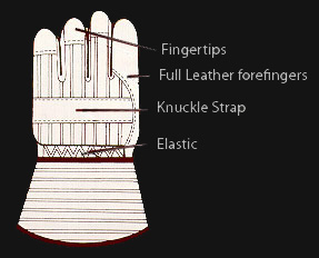 Gloves Guide graphic